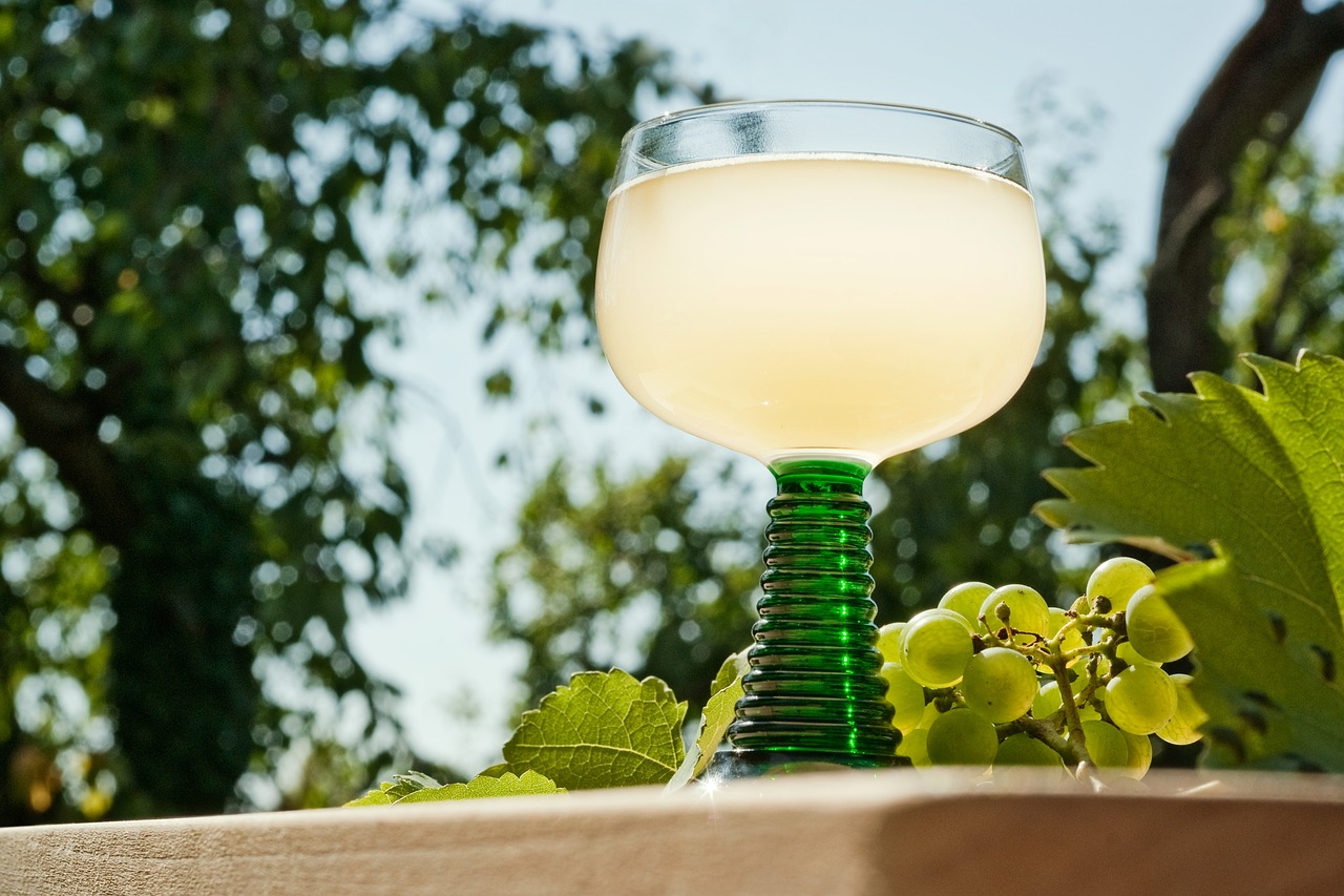 Spring white, young wine, grape must — Professional Guide: Scale Your Business Online with Garage2Global - Expert Strategies