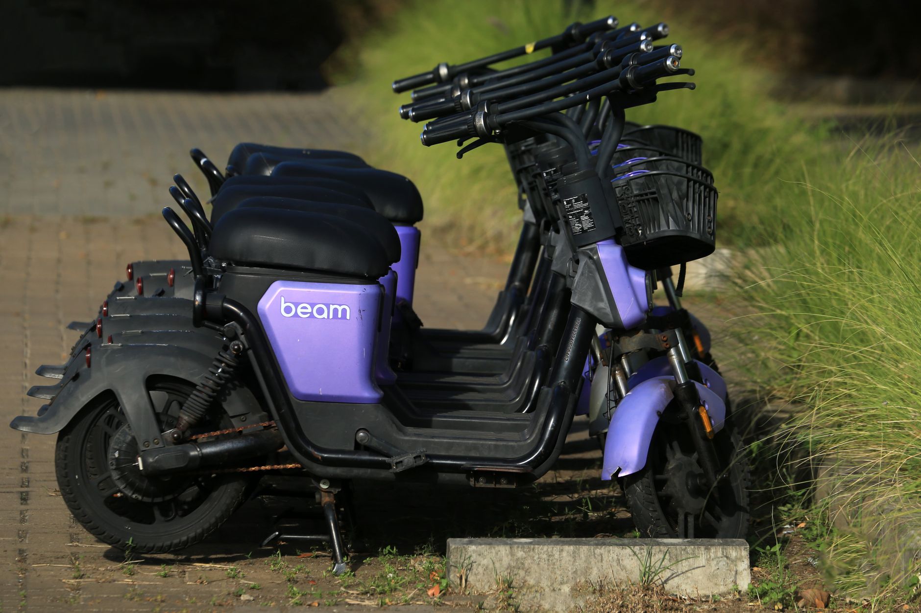 India electric vehicle share