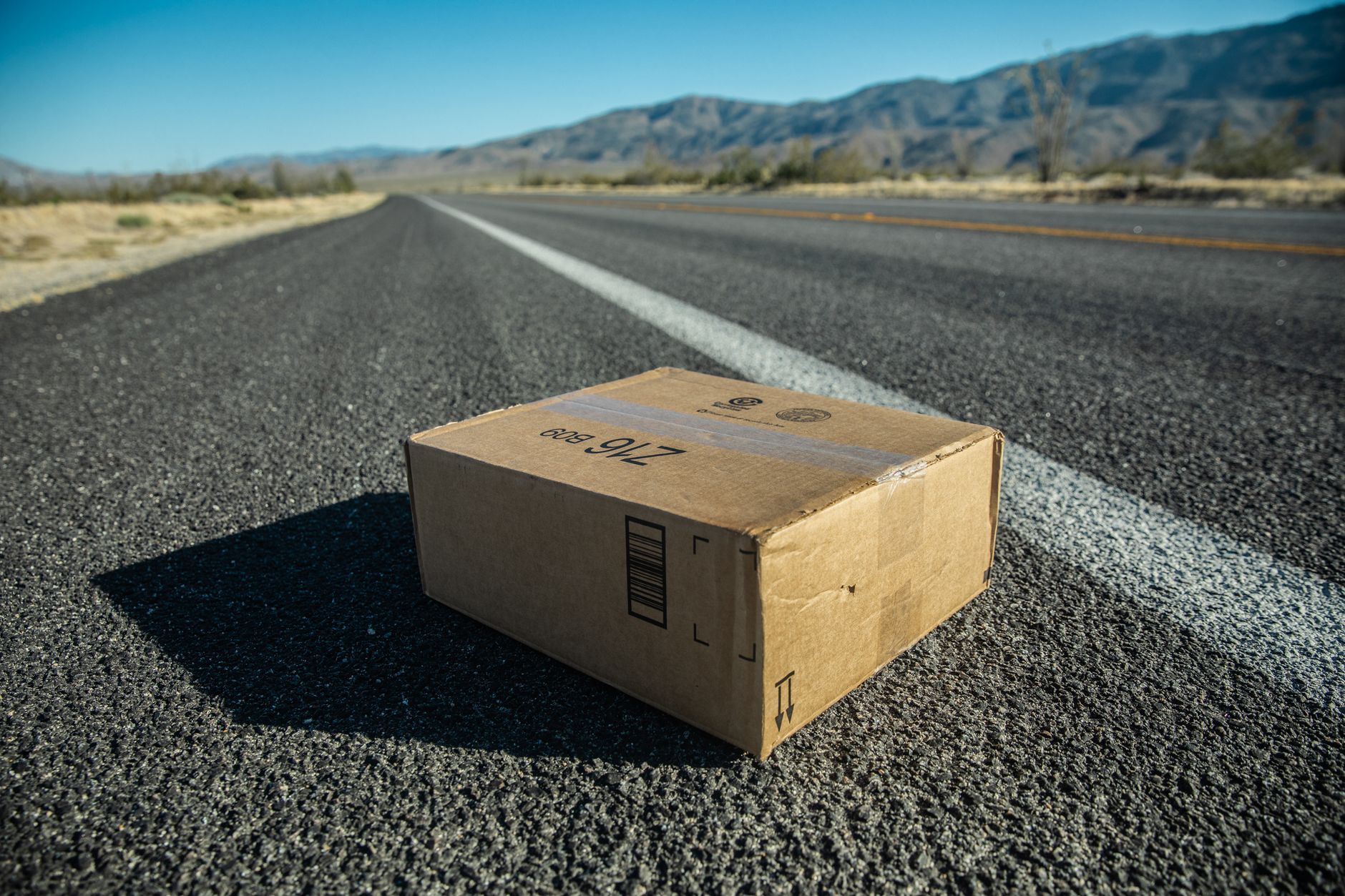 Blue Dart delivery expansion